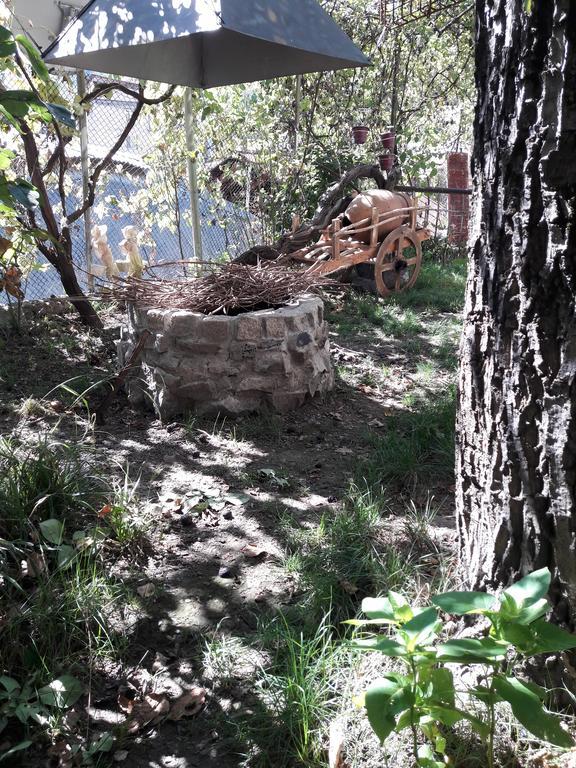 Rachvela'S Guest House Borjomi Esterno foto