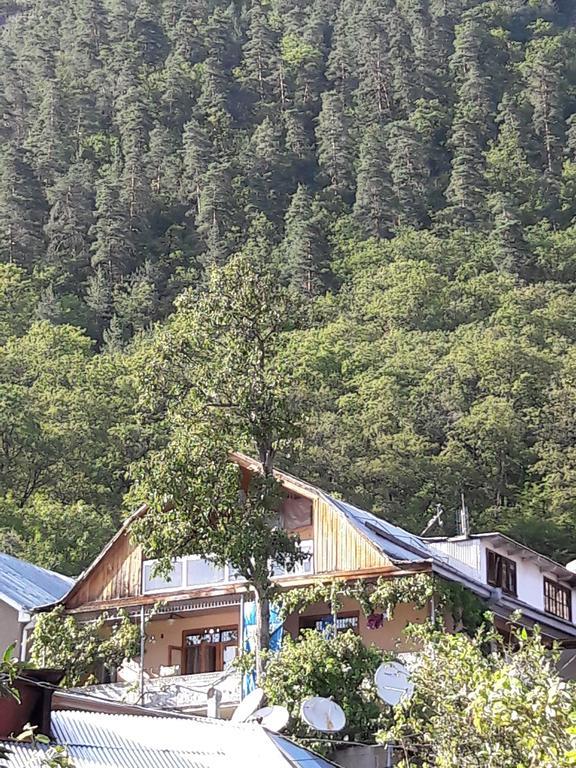 Rachvela'S Guest House Borjomi Esterno foto