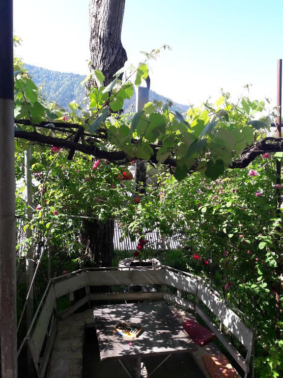 Rachvela'S Guest House Borjomi Esterno foto